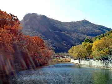 新澳门二四六天天开奖，花生油榨油机多少钱